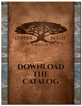 Download The Catalog